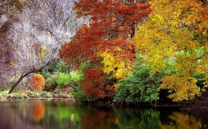 Cincinnati_–_Spring_Grove_Cemetery_&_Arboretum__Autumn_Reflection__(15630100199)