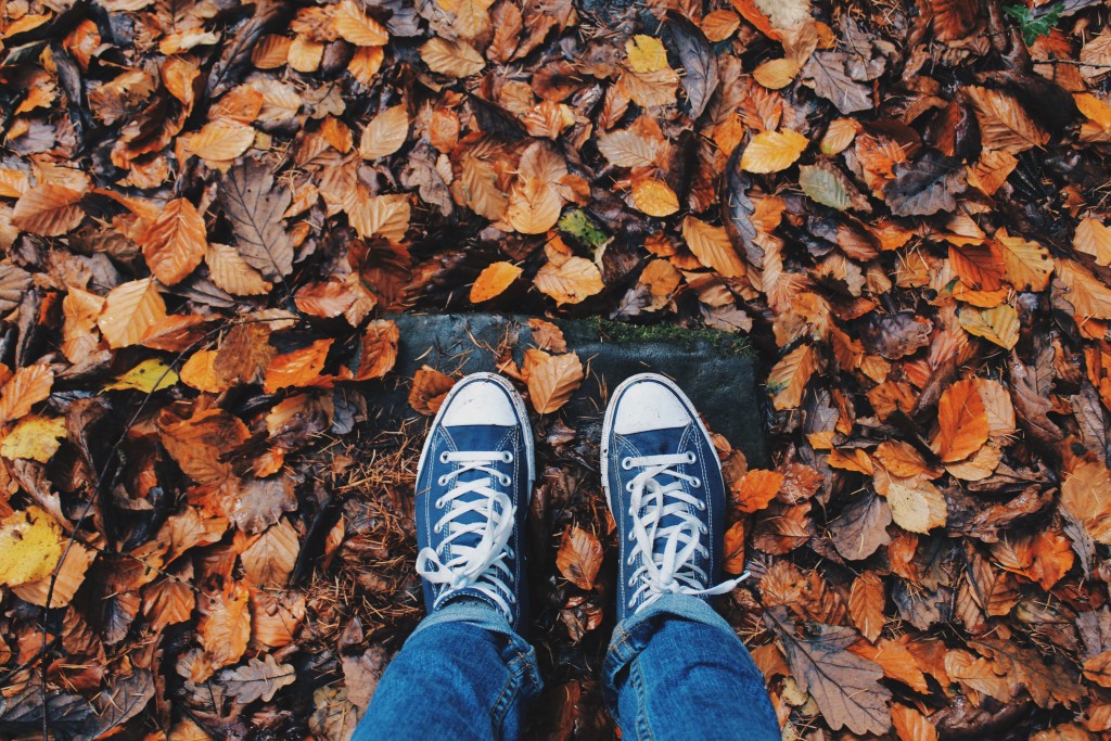 autumn-close-up-color-267313